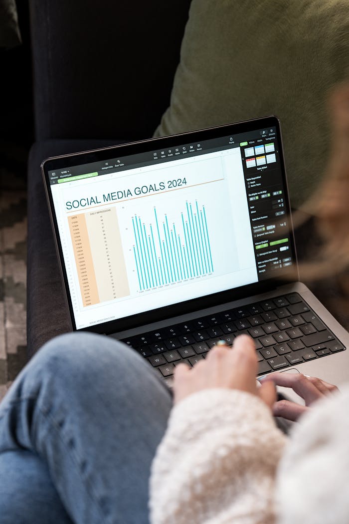 The Art of Drawing Readers In: Your attractive post title goes here Woman reviewing 2024 social media goals chart on laptop indoors.